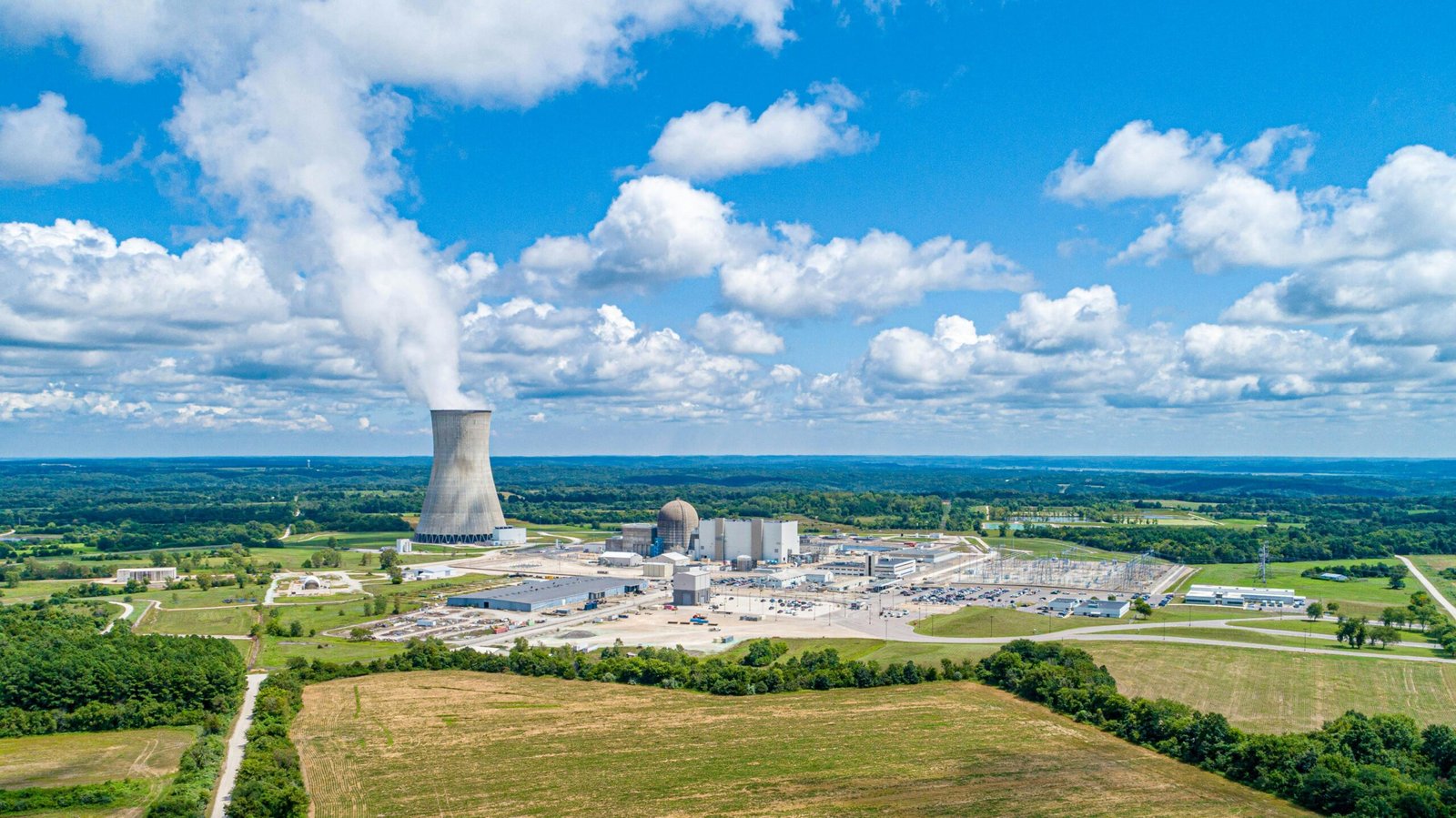 Callaway Plant under Blue Sky