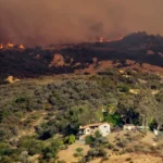 Wildfire burning on a hillside, smoke rising in the sky, with houses nestled in the foreground surrounded by trees.