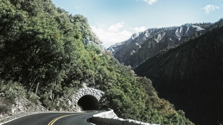 Mountain road leading into a tunnel, surrounded by lush green forest and rocky cliffs under a clear blue sky.