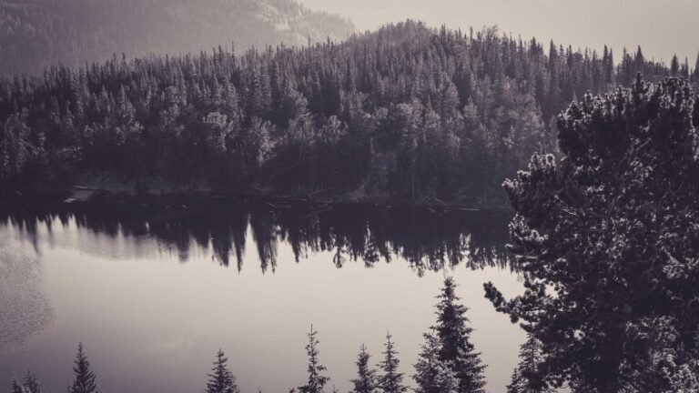 Serene lake with dense pine forest reflection in calm water, under a softly lit sky.