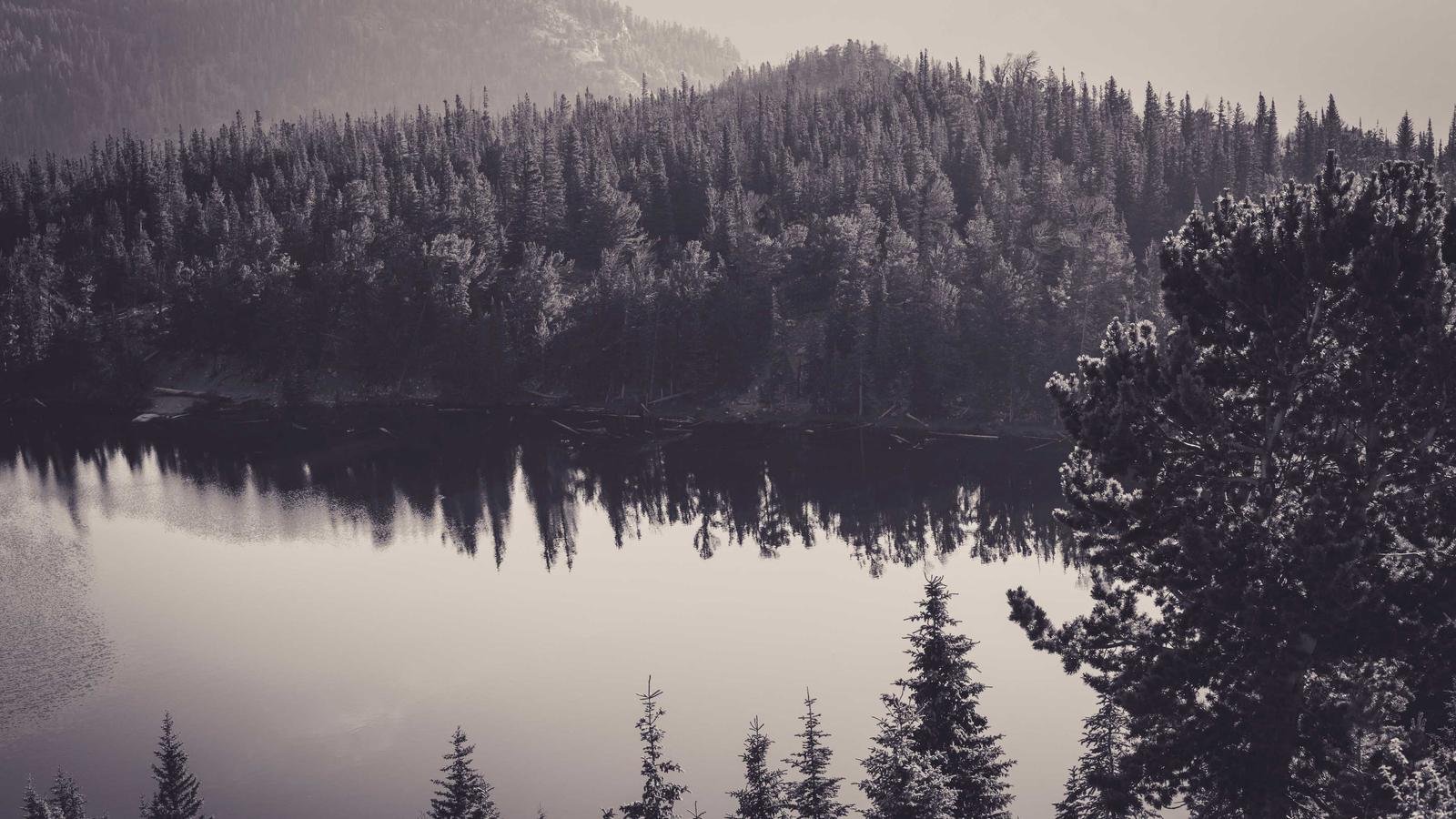 Serene lake with dense pine forest reflection in calm water, under a softly lit sky.