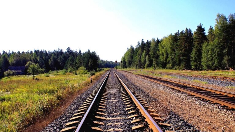 Railway tracks extending into the distance, flanked by green trees and grass under a clear blue sky.