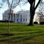 The White House lawn with trees casting shadows, clear blue sky, and the building in the background.