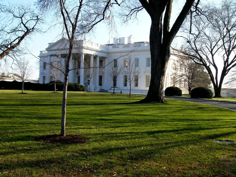 The White House lawn with trees casting shadows, clear blue sky, and the building in the background.