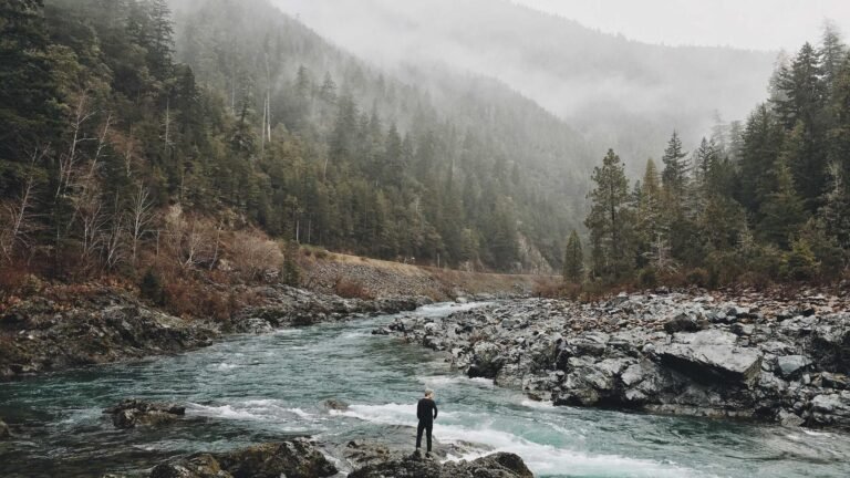 Person standing on rocks by a river, surrounded by dense forest and misty mountains in the background.