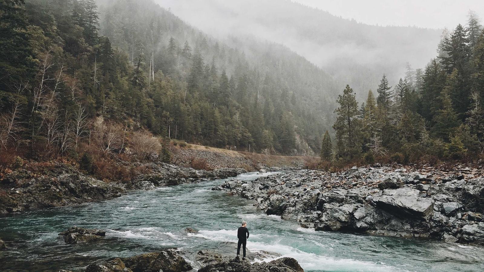 Person standing on rocks by a river, surrounded by dense forest and misty mountains in the background.