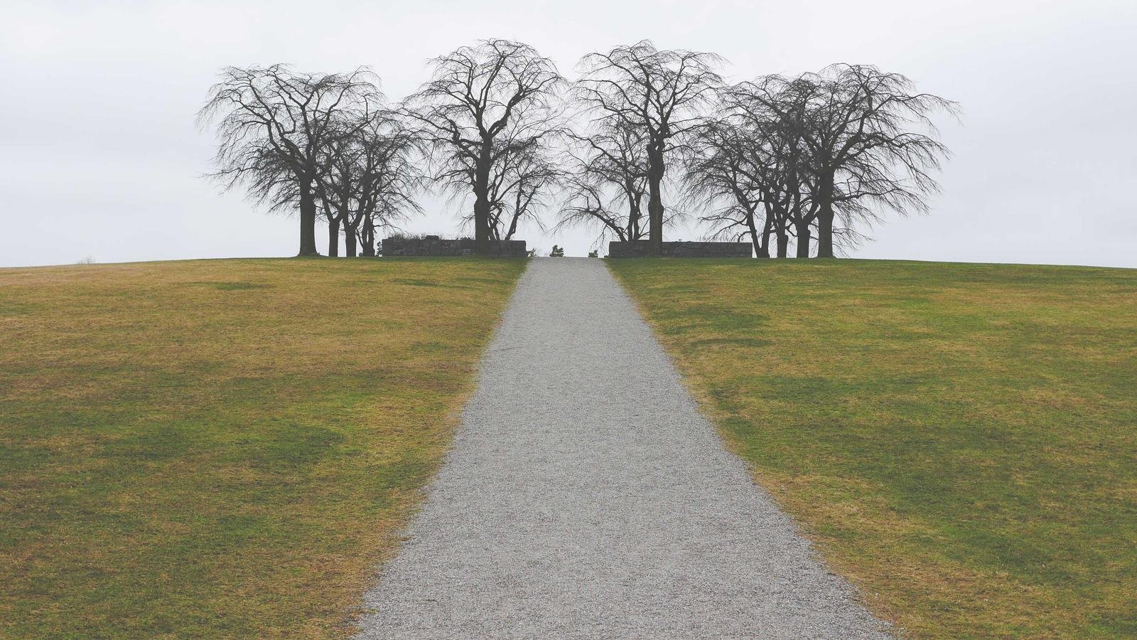Pathway leading up a grassy hill lined with bare trees under a cloudy sky.