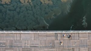 Aerial view of three people walking on a wooden boardwalk beside a dark, textured body of water.