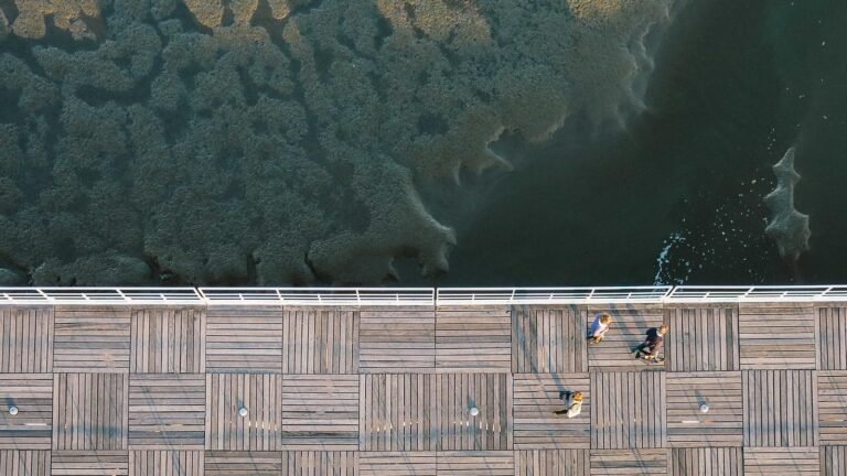 Aerial view of three people walking on a wooden boardwalk beside a dark, textured body of water.