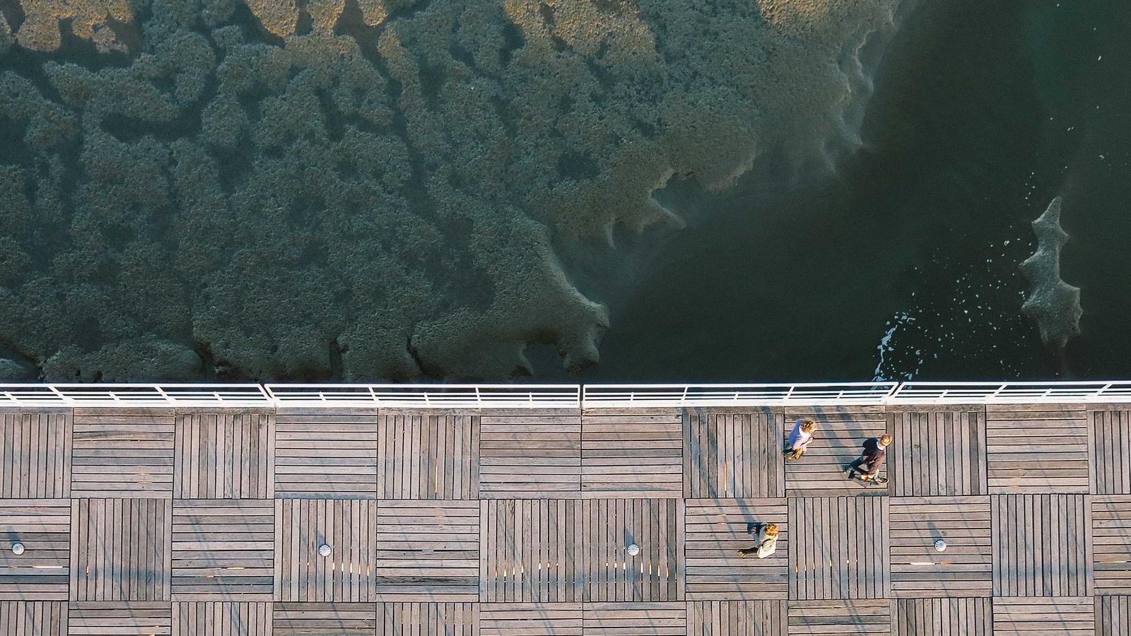 Aerial view of three people walking on a wooden boardwalk beside a dark, textured body of water.