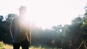 Person in a hat standing in a sunlit field with trees in the background, facing away from the camera.