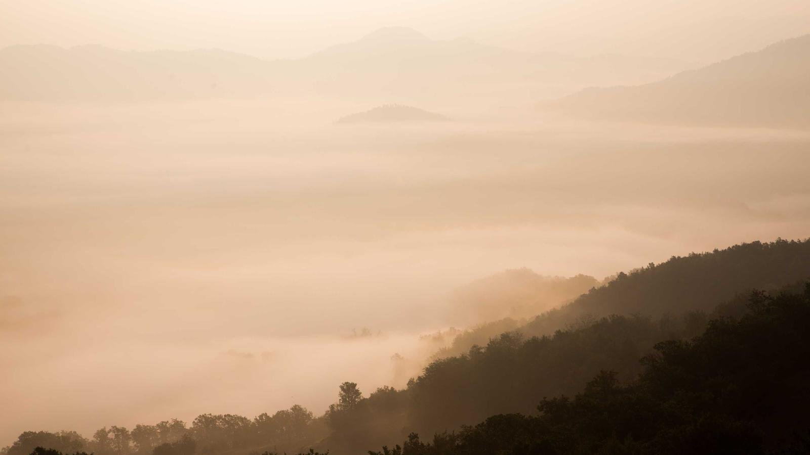 Foggy landscape with rolling hills and dense mist under a soft, warm light.