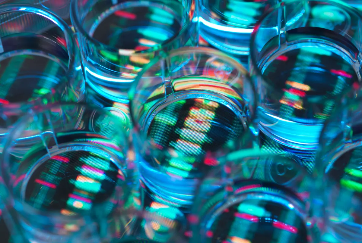 Close-up of transparent petri dishes with colorful reflections and patterns, creating an abstract, vibrant effect.