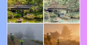 Four-panel image showing a garden bridge and a cyclist on a foggy road in different weather and artistic styles.