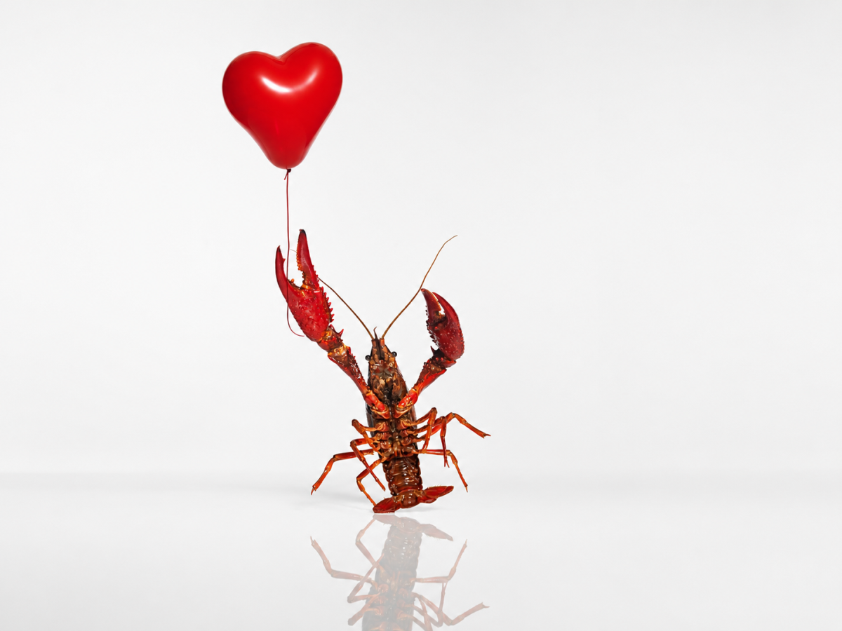 Lobster holding a heart-shaped balloon with its claw, set against a plain white background.