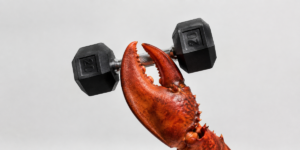 Lobster claw gripping a 20-pound dumbbell against a plain gray background.