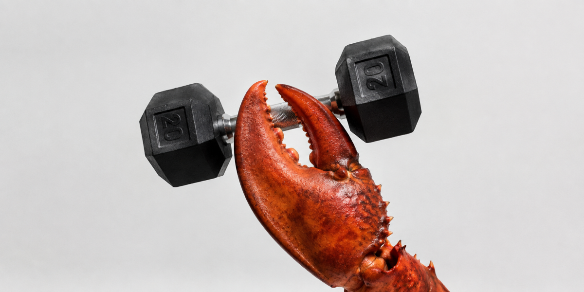 Claude Agent Hacked a Gym Reservation System, Exposing a Bigger AI Security Problem