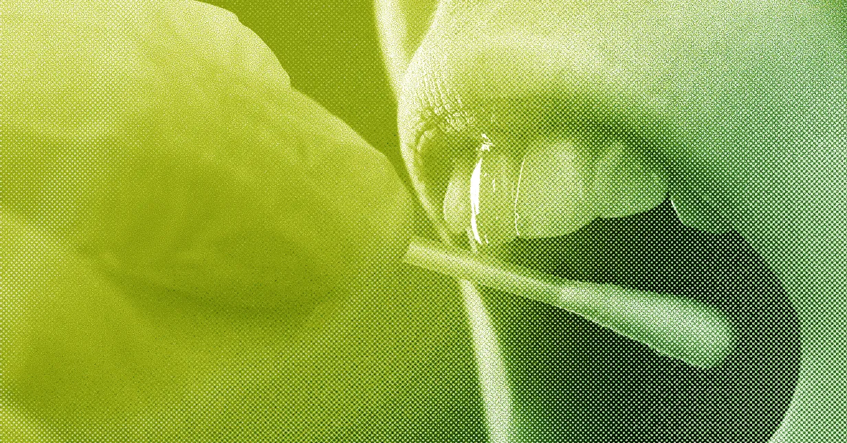 Close-up of a partially open mouth with a cotton swab approaching, in a green and yellow halftone effect.
