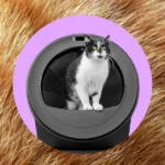 Black and white cat sitting inside a round automatic litter box, set against a purple circle and a fur background.