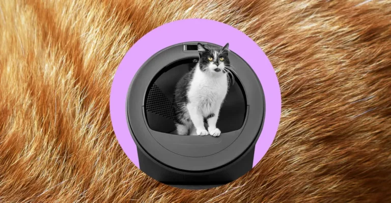 Black and white cat sitting inside a round automatic litter box, set against a purple circle and a fur background.