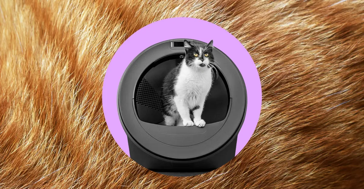 Black and white cat sitting inside a round automatic litter box, set against a purple circle and a fur background.