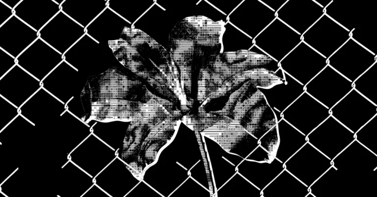 Black and white image of a glitchy flower behind a chain-link fence on a black background