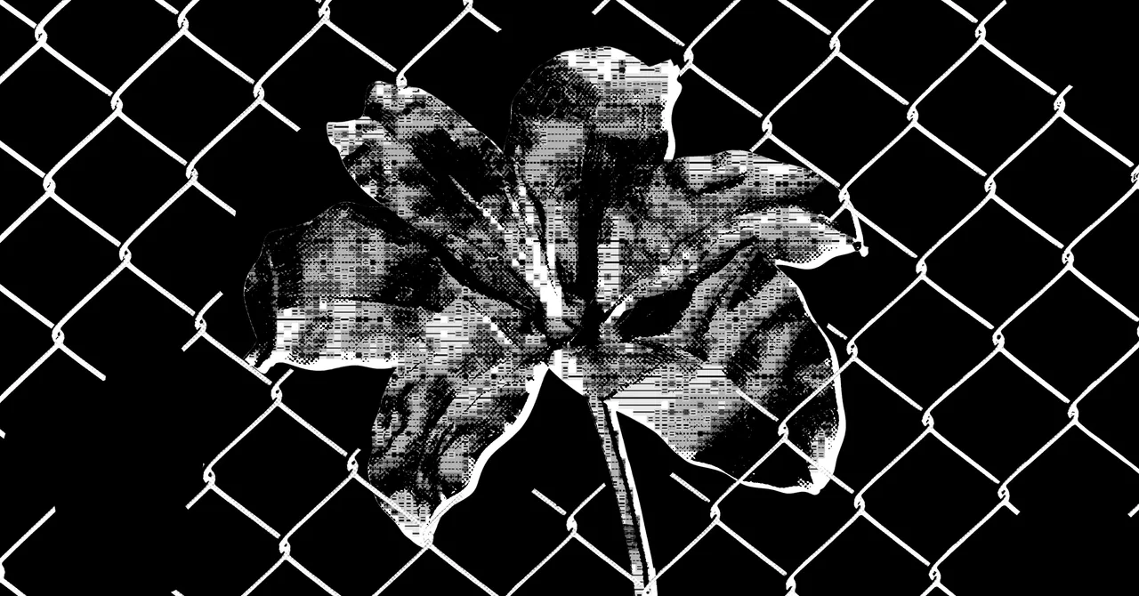 Black and white image of a glitchy flower behind a chain-link fence on a black background