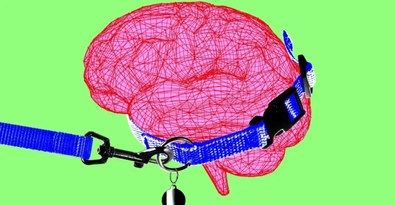 Red wireframe brain with a blue dog collar and leash against a green background.