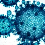 Close-up view of blue microscopic structures resembling viruses or cells on a white background.