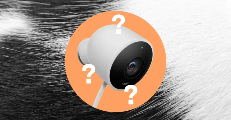 Nest camera with question marks on an orange circle background, overlaying black and white fur texture.