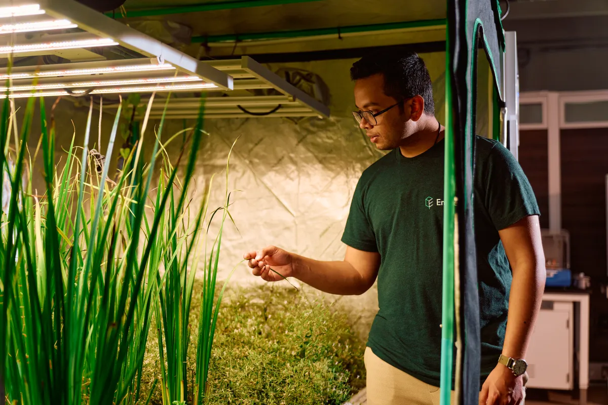 Person in glasses and Enveda t-shirt examines plants under LED lights in a lab setting.