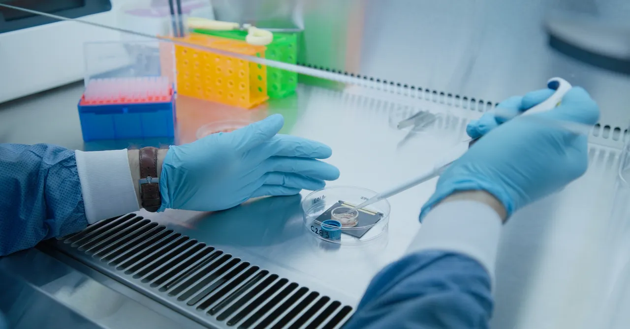 Gloved hands handling a pipette over a petri dish in a lab with colorful test tube racks in the background.