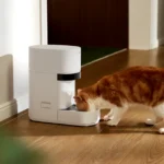 Orange and white cat eating from a white smart feeder on a wooden floor in a well-lit room.