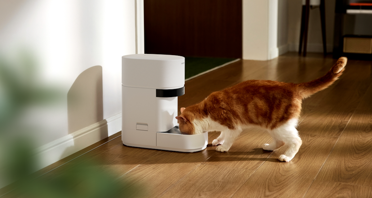 Orange and white cat eating from a white smart feeder on a wooden floor in a well-lit room.