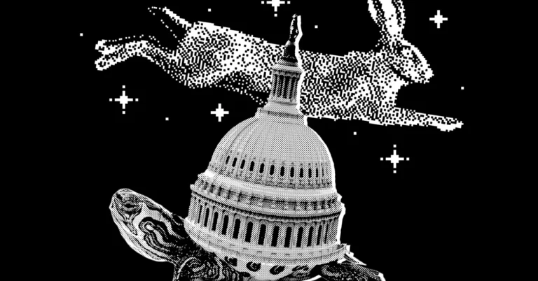 The U.S. Capitol dome atop a turtle, with a pixelated rabbit leaping above against a starry black background.