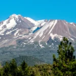 Mount Shasta with snow-capped peaks under a clear blue sky, surrounded by green forest.