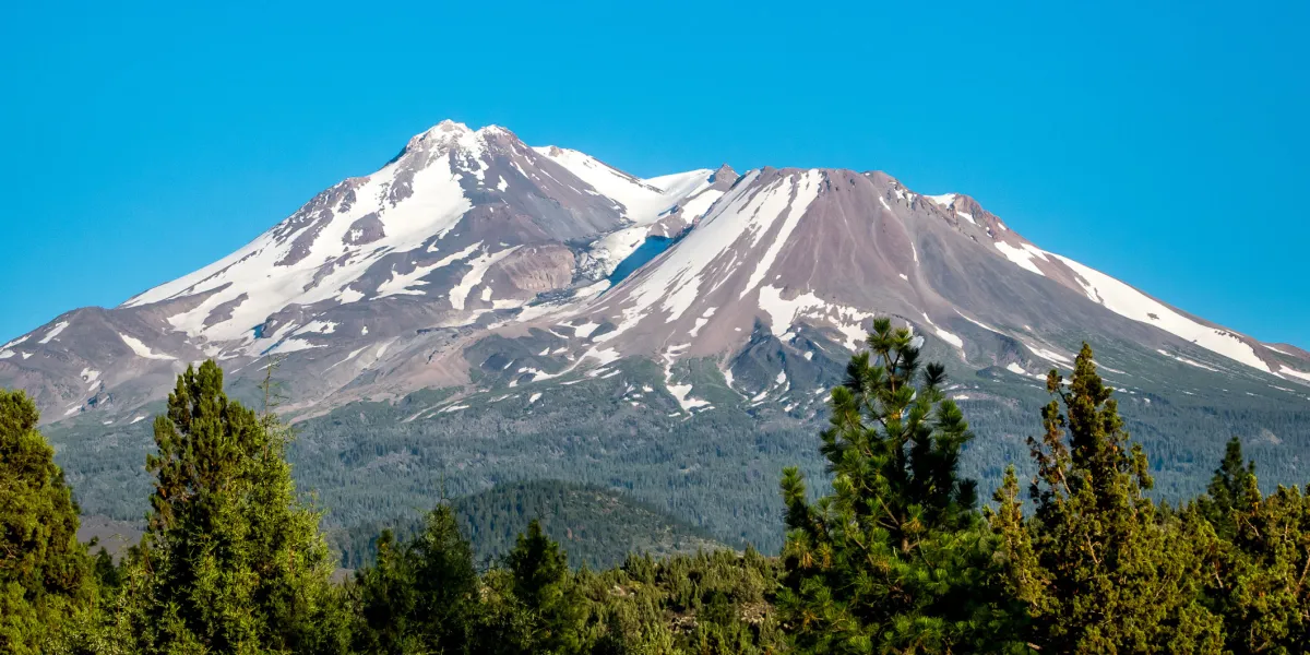 Mount Shasta with snow-capped peaks under a clear blue sky, surrounded by green forest.
