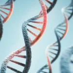 Close-up of several DNA double helix strands with a light blue background