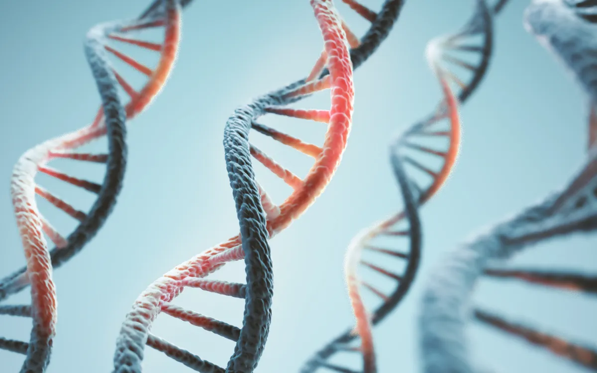 Close-up of several DNA double helix strands with a light blue background