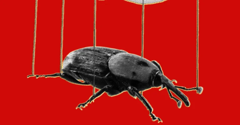 A black beetle on strings against a red background, resembling a puppet.