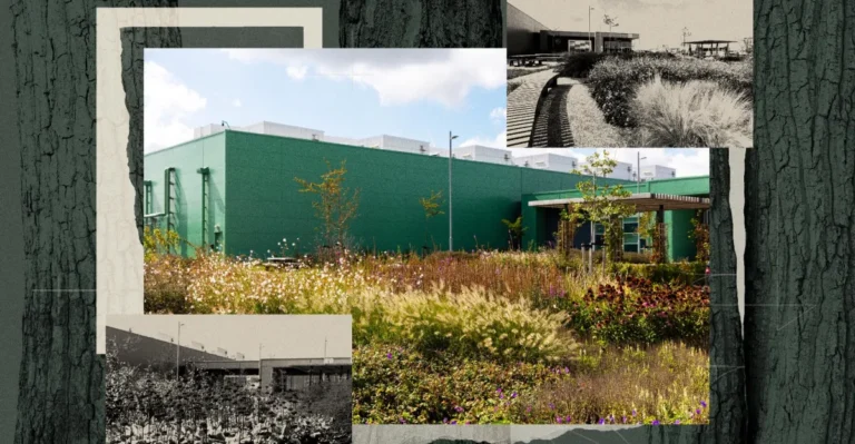 Collage of a green building surrounded by diverse plants and trees, with additional black-and-white images of landscaping.