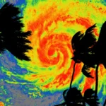 Palm trees silhouetted against a colorful infrared satellite image of a swirling hurricane.