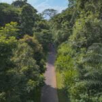 wildlife deterrence AI device mounted near a rail corridor