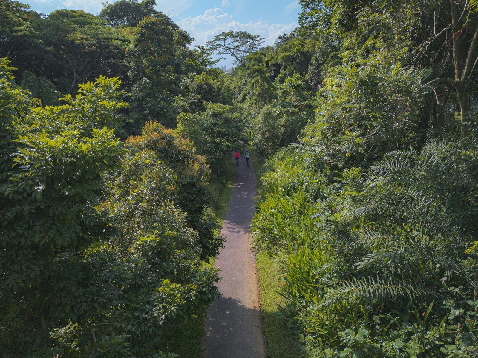 Flox Intelligence is using AI to keep wildlife off tracks, roads and runways